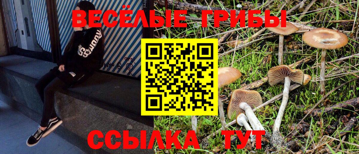 Галлюциногенные грибы мухоморы Ирбит