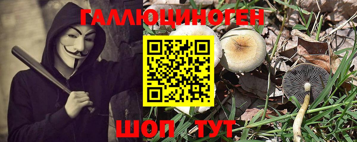 Ирбит  Псилоцибиновые грибы прущие грибы  Галлюциногенные грибы MAGIC MUSHROOMS  Вход с VPN 